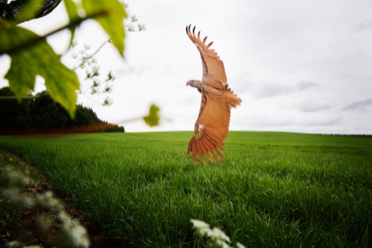 Naturhistorisk Museum