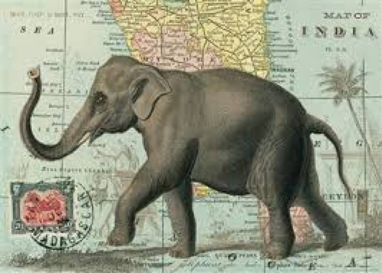 Cavallini, Elephant