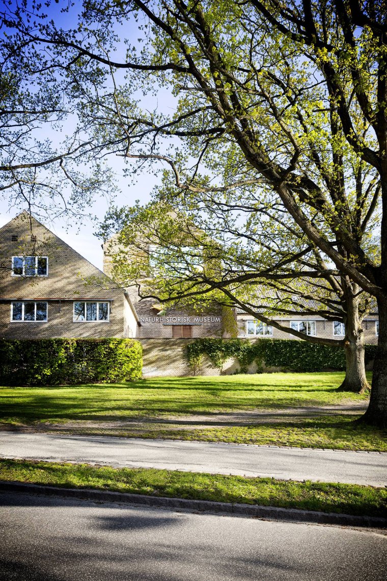 Gavekort ÅrskortSOLO