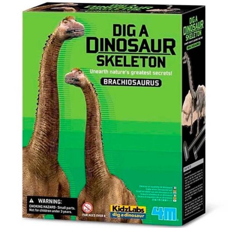 Udgravningssæt - Brachiosaurus