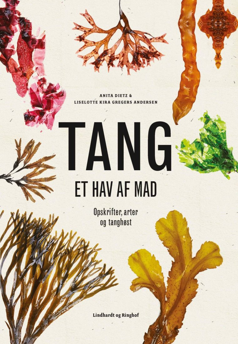 Tang - et hav af mad