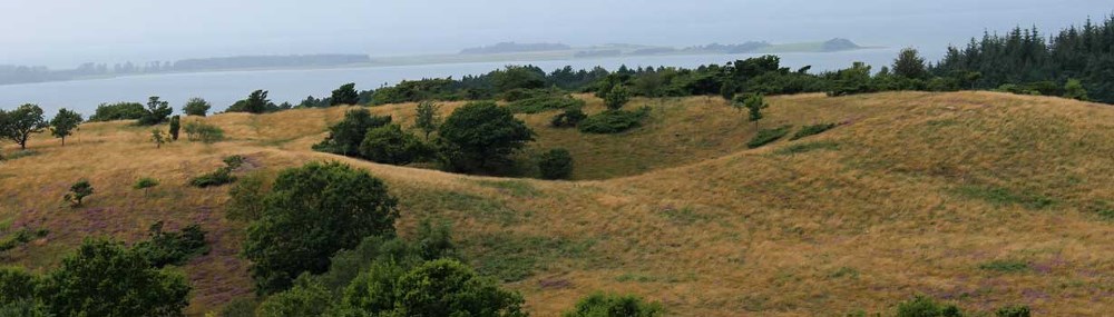 Dødishul Molslaboratoriet Dødishul Molslaboratoriet